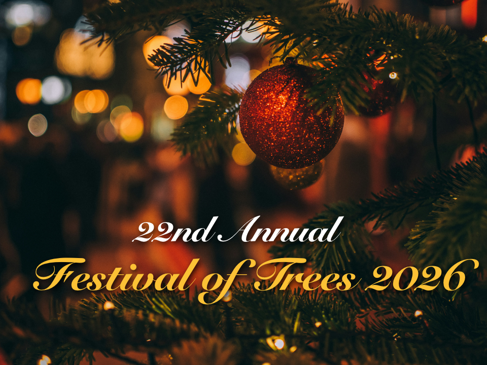The 22nd Annual Maquoketa Community Christmas / Festival of Trees